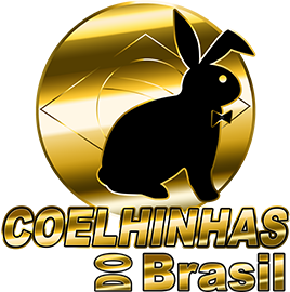 Logomarca - acompanhantes garota de programa Fortaleza COELHINHAS DO BRASIL